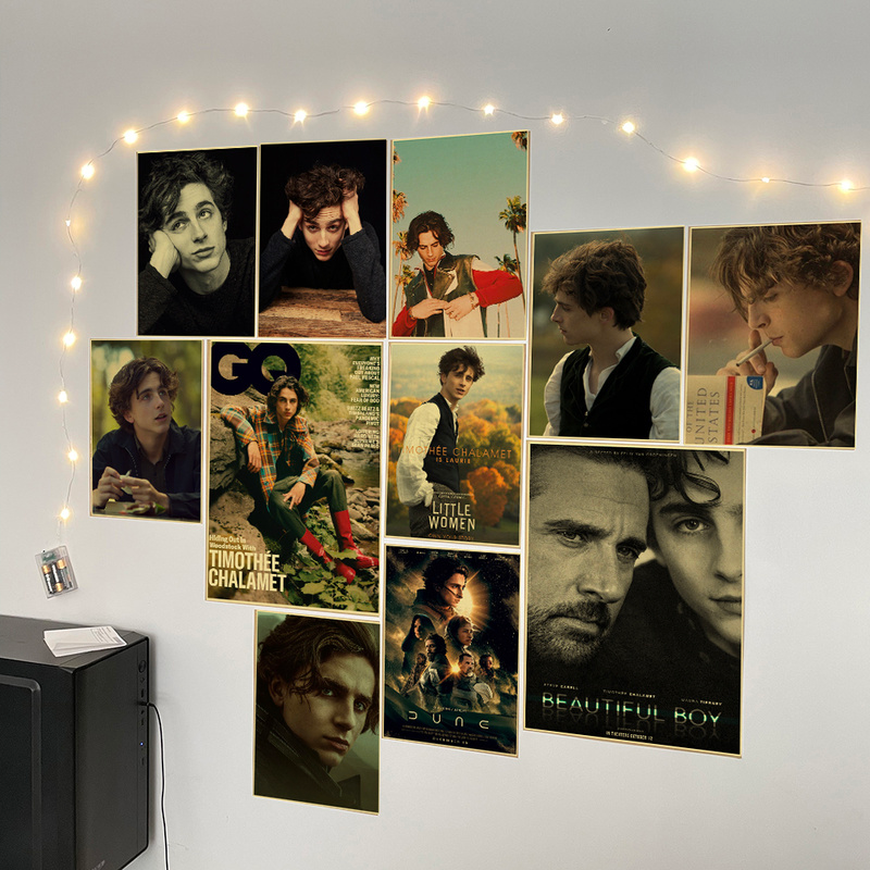Timothee Chalamet Retro Canvas - đánh giá và giá Home Bar And Theater
